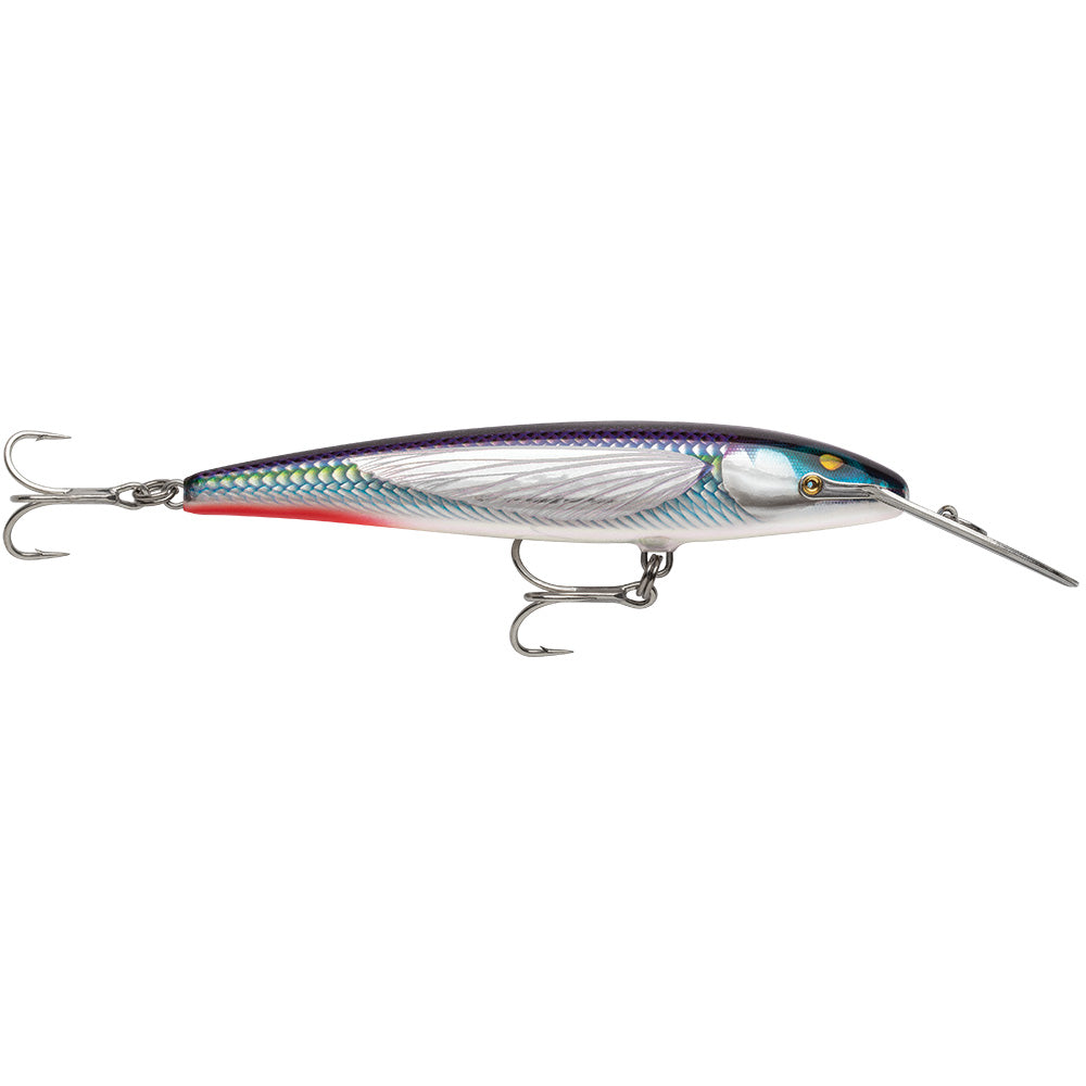 Rapala CountDown Magnum Elite 145 - 5-3/4" - Armored Flying Fish UV