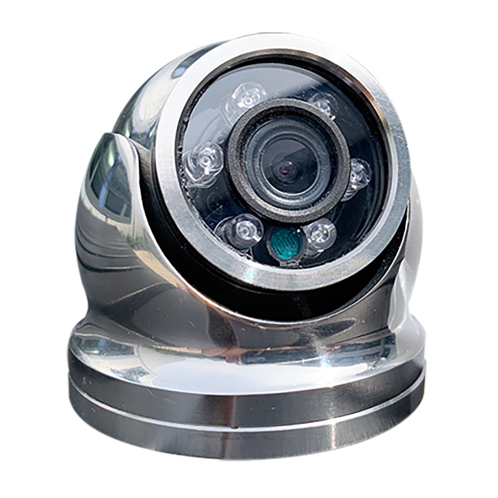 Iris Hi-Resolution Analog Mini Dome Camera - 316 Stainless Steel - CVBS - TVI