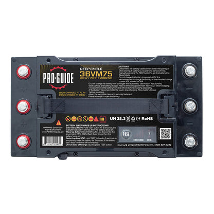 Pro-Guide Alpha Series Lithium Battery - 36V - 75AH - Group 31 (Tall)